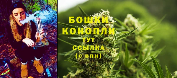крисы Белокуриха