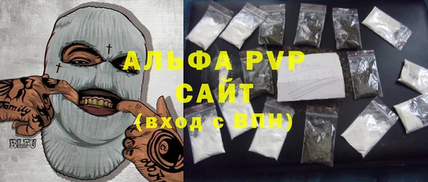 крисы Белокуриха