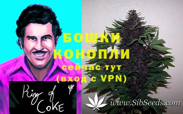 кокаин перу Богданович